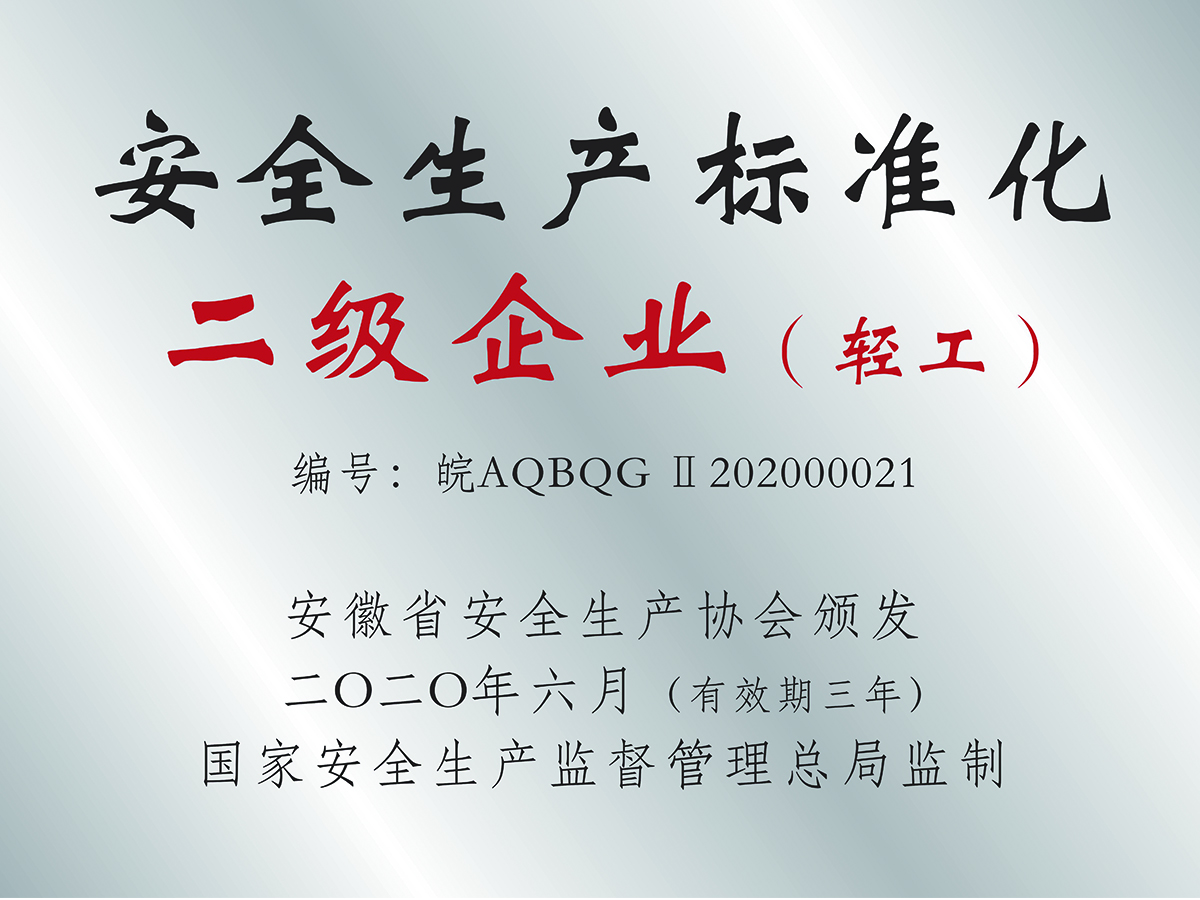 安全生产标准化二级企业